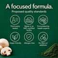 UNFUNK Internal Freshness - Clean formula